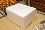 20090524-1.jpg