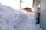 20100221_2_2.jpg