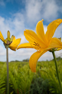 20120615-DSC_0174.JPG